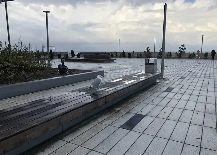 Beata Zielone Tarasy